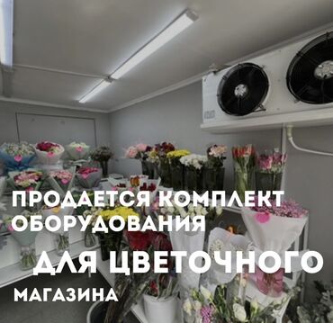 ящик для пчелы: Продаю всё для открытия цветочного магазина! Полный комплект для
