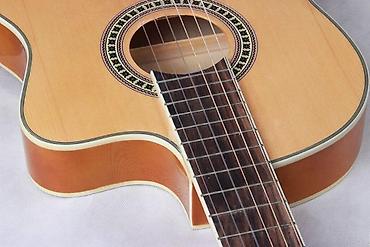 gitara capo: Klassik gitara "Vitesse VT C20 39"Təsvir : Vitesse VT C20 39, klassik — 1