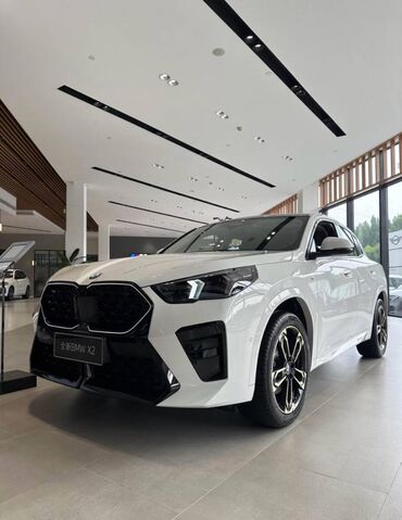 Chery: BMW X2
xDrive25i M Sport Night Edition
CIP BISHKEK 41400USD