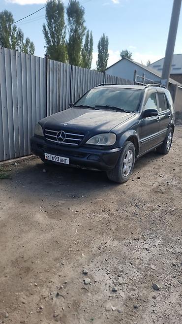Mercedes-Benz ML-Class: 2002 г., 4 л, Автомат, Дизель, Внедорожник