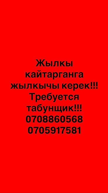 ысык кол отель: Вакансия: табунщик (пастух лошадей)
Жылкычы керек — 1