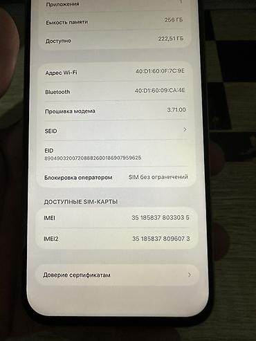 хр корпус: IPhone 15 Pro Max, Б/у, 256 ГБ, Серебристый — 10