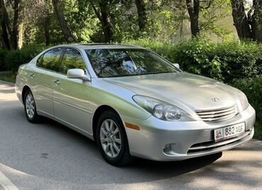 лексус 330 белый: Lexus ES: 2004 г., 3.3 л, Автомат, Бензин, Седан