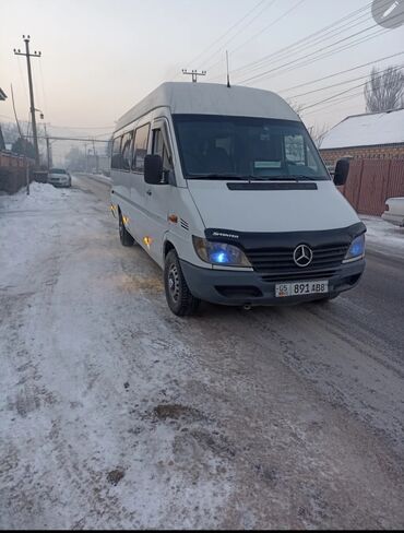 Трансфер, пассажирские перевозки: По региону, Аэропорт, По городу Бус | 18 мест