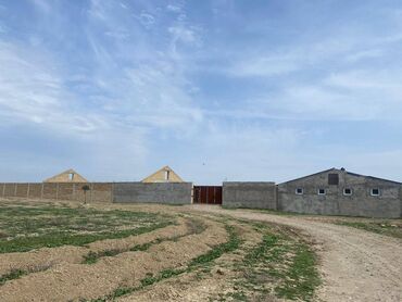 Kommersiya daşınmaz əmlakının satışı: FERMA satılır Pirəkəşkül qəsəbəsində — 1