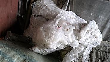 прием полителена: Прием полиэтилена по высокой цене!самовывоз в любых — 5