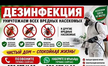 дезинфекция: Профессиональная дезинсекция и дезинфекция помещений Уничтожаем всех — 1