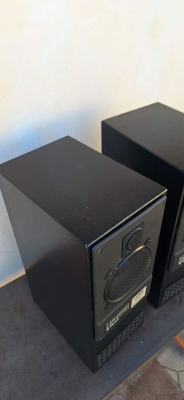 Dinamiklər və kolonkalar: Akustik sistem eksküliziv labirint qutuda sony dinamiklə və tviterlə — 8