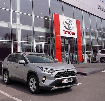 родар: Toyota RAV4: 2019 г., 2 л, Автомат, Бензин, Кроссовер — 1