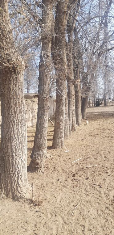 печи для дома с водяным отоплением бишкек: Окат