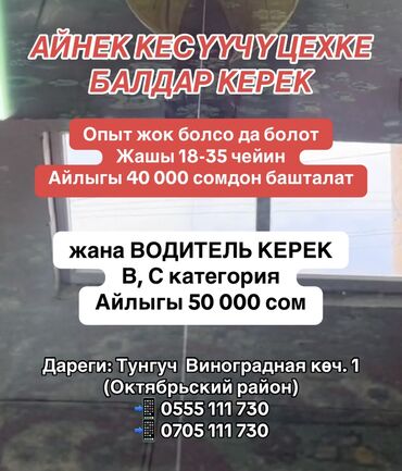 Водители-экспедиторы: Требуется Водитель-экспедитор, Без опыта