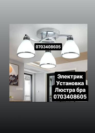 Электрики: Электромонтажные услуги: установка светильников - Профессиональный — 1
