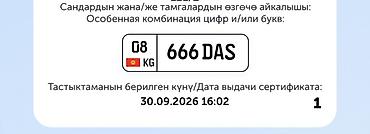 дубликаты номеров авто: Эксклюзивный госномер для автомобиля: 666 DAS (регион 08, KG). - — 1