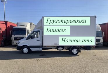 Портер, грузовые перевозки: Портер, Переезд, перевозка мебели, По региону, По городу, без грузчика
