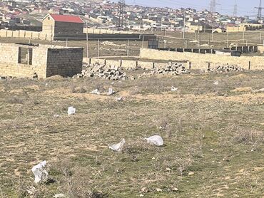 Torpaq sahələrinin satışı: 3 sot, Tikinti, Mülkiyyətçi, Bələdiyyə