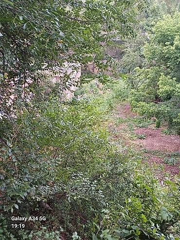 Полки для вещей и одежды: Полка для вещей и одежды, Дерево — 15