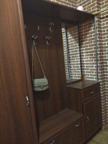 Dolablar: Bu dəhliz qarderobu əşyaları səliqəli şəkildə saxlamaq üçün geniş