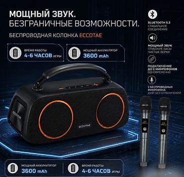 microlab solo 2: Портативная колонка караоке система с двумя микрофонами Eccotae TK-118 — 9