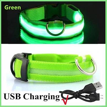 kapi za pilice: SVETLECA LED OGRLICA ZA PSE I LJUBIMCE USB PUNJENJE | Svetlece LED — 2