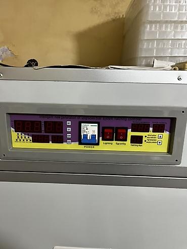 Biznes üçün avadanlıq: 1100 yumurta, Çin, Tam avtomat — 3