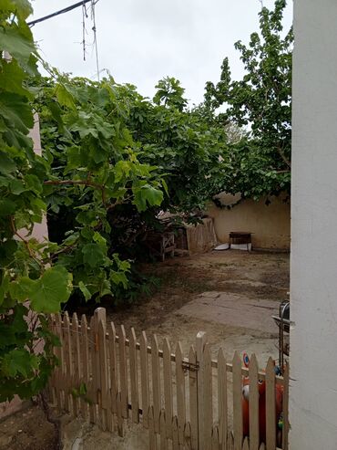 Həyət evləri və villaların satışı: Hövsan qəs. 4 otaqlı, 120 kv. m, Kredit yoxdur, Yeni təmirli -da lalafo.az — 13 Həyət evləri və villaların satışı: Hövsan qəs. 4 otaqlı, 120 kv. m, Kredit yoxdur, Yeni təmirli — 13