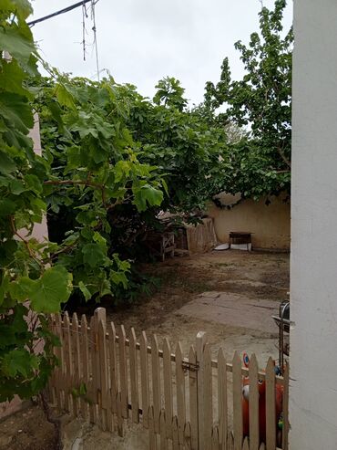 Köhnə tikili: Tecili Satilir tma esyali satilir.Qiymetde cuzi endirim — 16