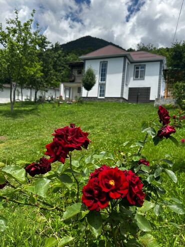 tap az həyət evi rəsulzadə qəsəbəsi: Qəbələ, 110 kv. m, 4 otaqlı, Hovuzlu, Kombi, Qaz, İşıq