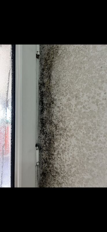 Установка вытяжек и вентиляции: Потеют окна? В углах появилась плесень? В доме невыносимо душно в — 6