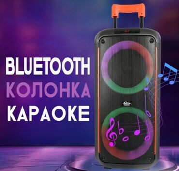 Динамики и колонки: Портативная Bluetooth Караоке колонка ZQS8263 с микрофоном и пультом