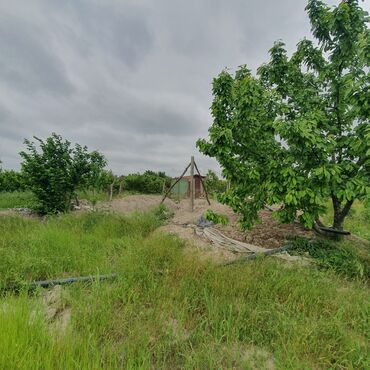 Torpaq sahələrinin satışı: 106 sot, Kənd təsərrüfatı, Mülkiyyətçi, Kupça (Çıxarış) — 7