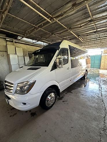 sprinter 315: Mercedes-Benz Спринтер: 2010 г., 3 л, Механика, Дизель, Бус — 2