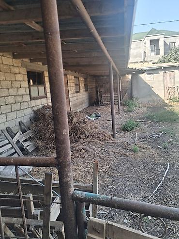 İcarəyə anbar və emalatxanalar: Obyekt – hündür hasarla əhatələnmiş, iri sahəli istehsalat/ankara — 21