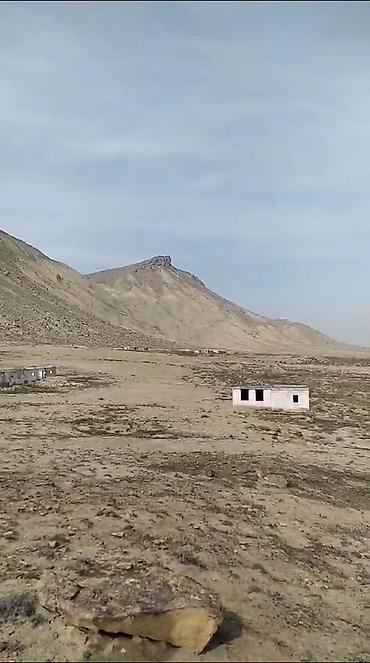 Torpaq: 80 sot, Tikinti, Mülkiyyətçi, Kupça (Çıxarış) — 7