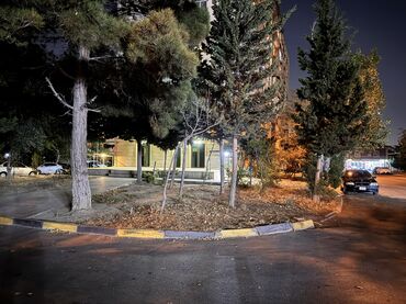 Digər kommersiya daşınmaz əmlakı: Tədris mərkəzi arendaya verilir. Bos abyektdir. Kargo sirketleri — 4