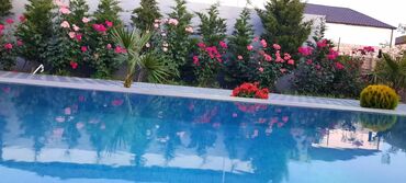 Bağ evlərinin kirayəsi: 120 kv. m, 3 otaqlı, Hovuzlu, Kombi, İnternet, Qaz — 2