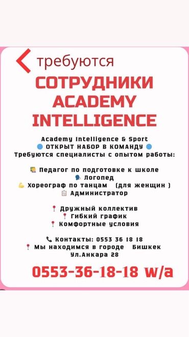 офиске техничка керек непольный день: Идет набор специалистов с опытом работы в "Academy Intelligence &