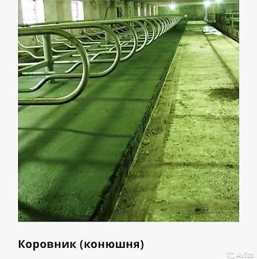 резиновые покрытие: Больше 6 лет опыта — 6