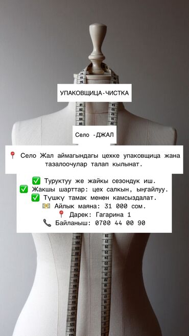 упаковшик керек: Талап кылынат Таңгактоочу, Төлөм Күнүмдүк, Тажрыйбасыз
