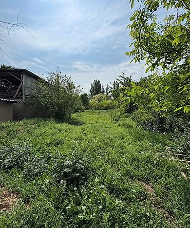 Продажа коттеджей и домов: 📍 В центре Сокулука (верхняя зона) продается дом на участке 8 соток — 6