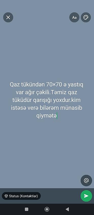 ваза напольная стеклянная высокая без узора: Məhsul: Qaz tükündən yastıq - Ölçü: 70×70 sm - Doldurma: Təmiz qaz — 1