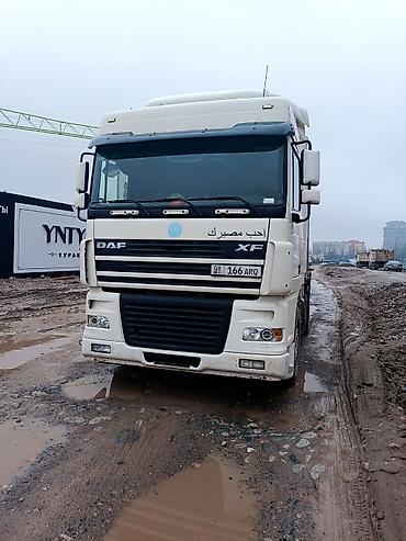 Тягачи: Тягач, DAF, 2006 г. — 1