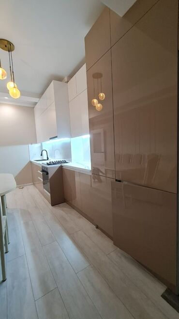 квартира сниму бишкек: 1 бөлмө, 47 кв. м, Элитка, 11 кабат, Евроремонт