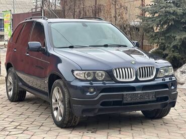 BMW: BMW X5: 2004 г., 3 л, Автомат, Дизель, Внедорожник