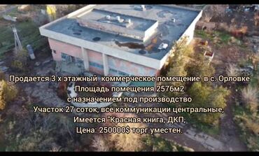 Офисы: Продается коммерческое производство в Орловке - Участок: 27 соток