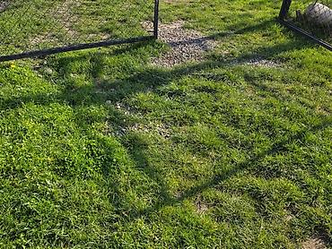 Su təchizatı: Sanitar-quraşdırma və hamam-tualet təmiri xidməti Təklif olunan — 86