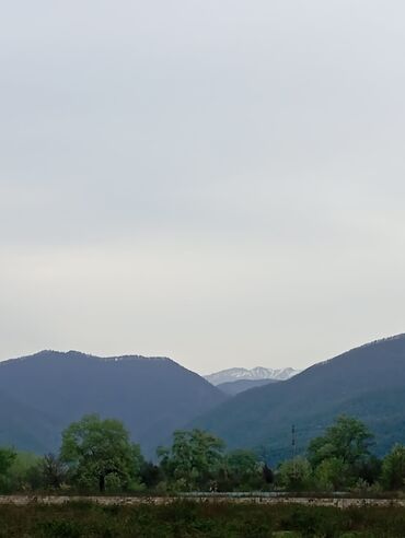 Torpaq sahələrinin satışı: 12 sot, Kənd təsərrüfatı, Mülkiyyətçi, Kupça (Çıxarış), Bələdiyyə -da lalafo.az — 6 Torpaq sahələrinin satışı: 12 sot, Kənd təsərrüfatı, Mülkiyyətçi, Kupça (Çıxarış), Bələdiyyə — 6