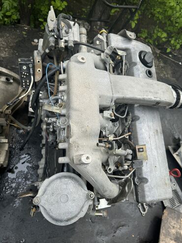двигатель на нексия 2: Дизельный мотор Ssangyong 2005 г., 2.9 л, Б/у, Оригинал