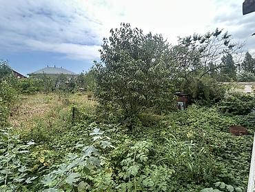 ev menzil alqi satqisi: Satılır: kənd mühitində həyət evi və geniş torpaq sahəsi - Tikinti — 4