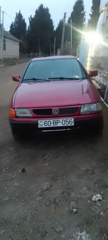 opel vektra b: Volkswagen Golf: 1.6 l | 1995 il Kabriolet