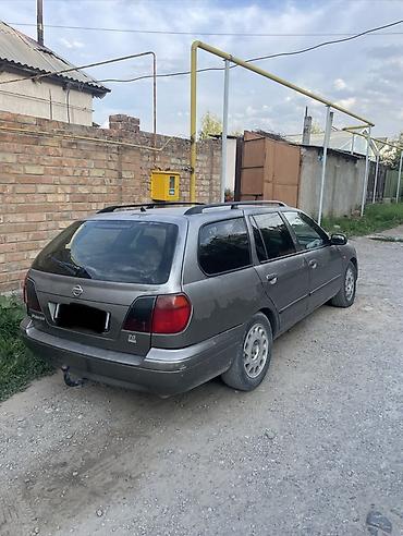 терано 1: Nissan Primera: 1998 г., 2 л, Бензин, Универсал — 5
